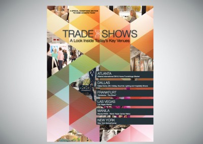 Trade Show Insert – Publication